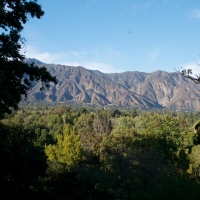 The Los Angeles County Arboretum
